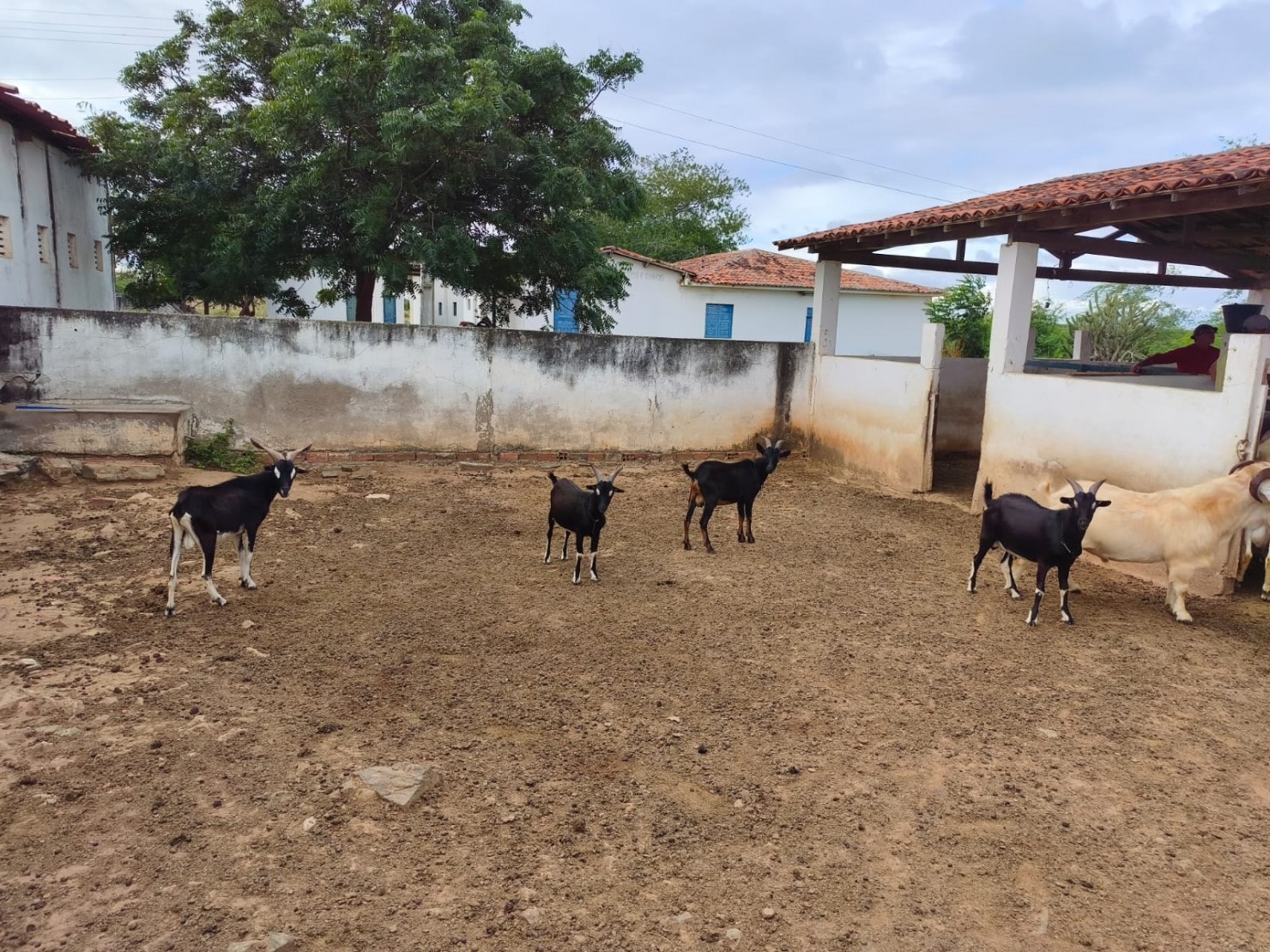 Foto da galeria