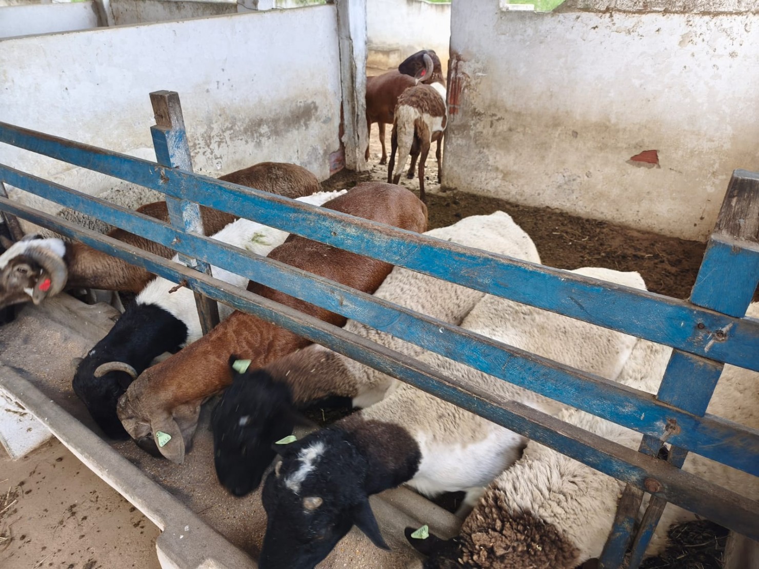 Foto da galeria