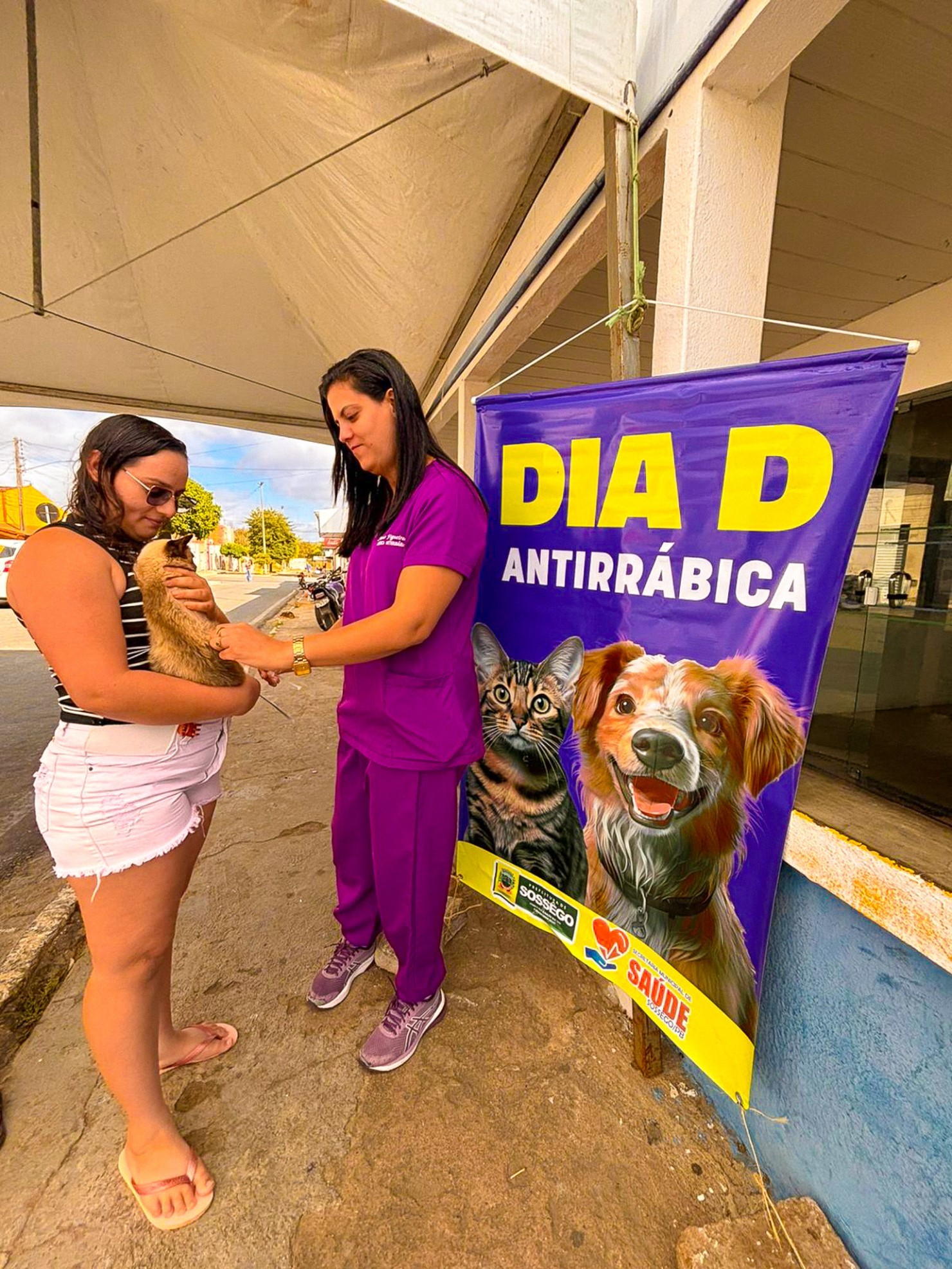 Foto da galeria