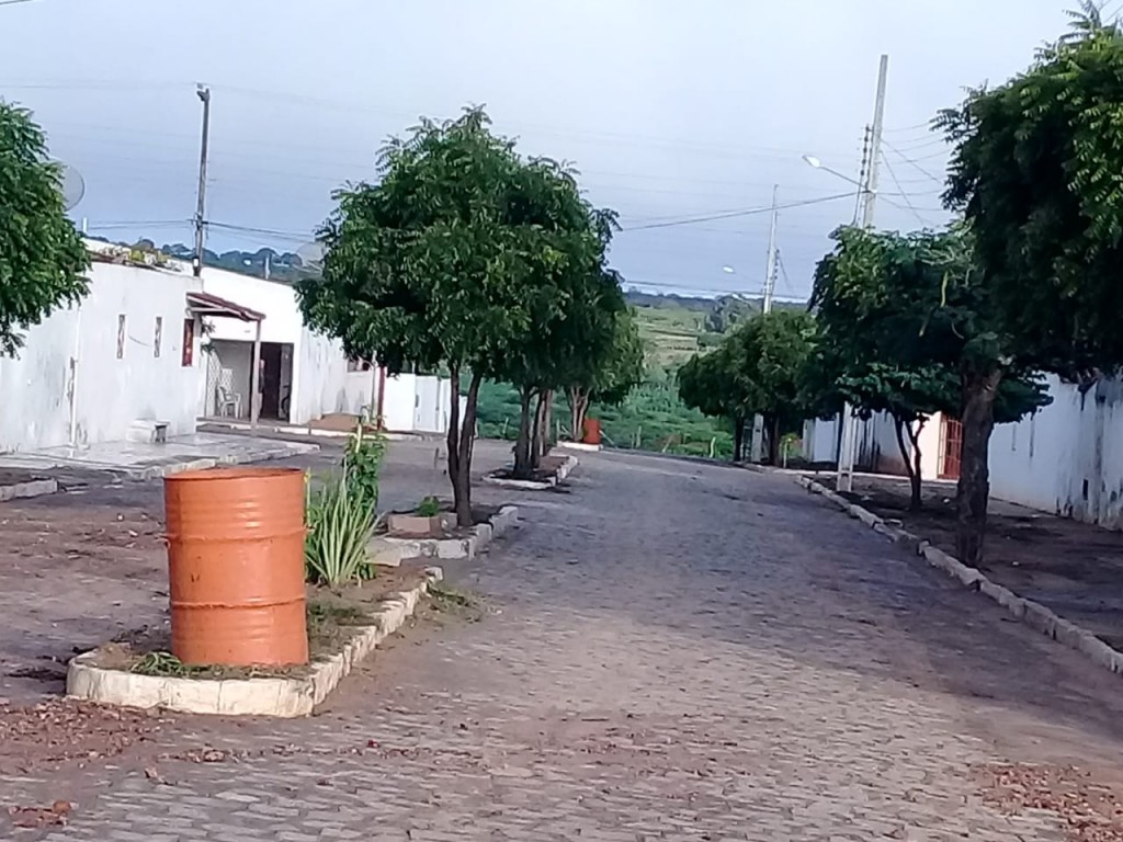 CIDADE LIMPA