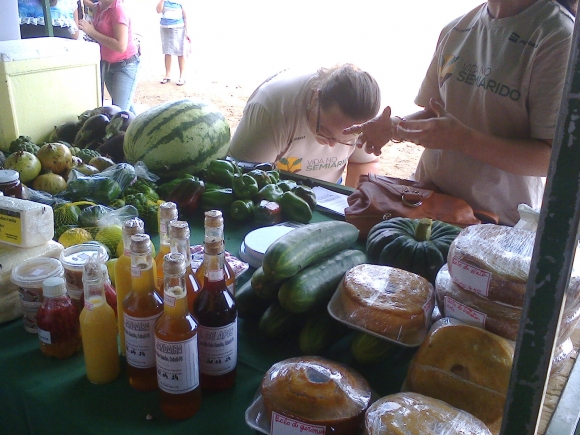 SOSSEGO NA FEIRA ECOLÓGICA