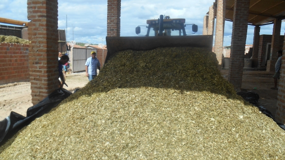 MAIS RAÇÃO PARA O REBANHO BOVINO DE SOSSEGO