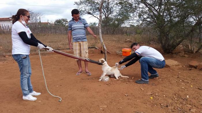CAMPANHA DE VACINAÇÃO CONTRA A RAIVA ANIMAL EM SOSSEGO